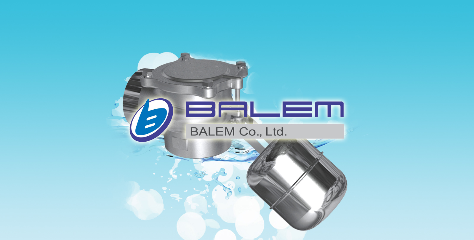 balem valve.jpg